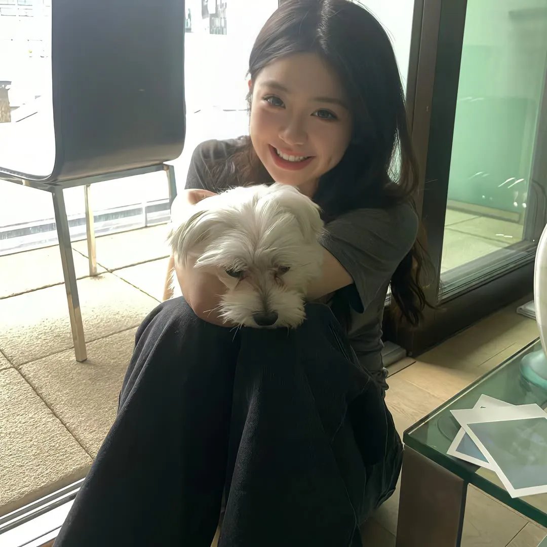 飞侠小白龙