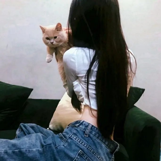 梦中歌